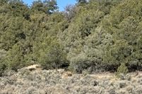 Land for sale in Rio Arriba County, New Mexico