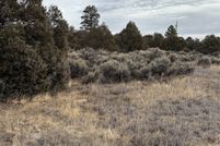 Undeveloped Land for sale in Rio Arriba County, New Mexico
