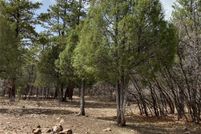Land for sale in Rio Arriba County, New Mexico