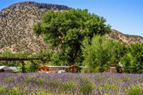 Farm and Ranch for sale in Rio Arriba County, New Mexico