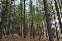 Land for sale in Washington County, Wisconsin