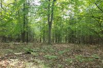 Land for sale in Lake County, Michigan