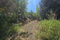 Land for sale in Lewis County, Washington