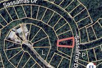 Undeveloped Land for sale in Jasper County, Texas