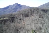 Land for sale in Bedford County, Virginia