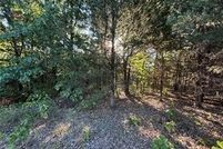 Undeveloped Land for sale in Ralls County, Missouri