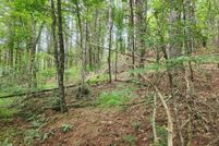 Land for sale in Grayson County, Virginia