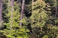 Land for sale in Oconee County, South Carolina