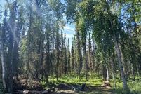 Undeveloped Land for sale in Kenai Peninsula Borough, Alaska