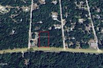 Undeveloped Land for sale in Levy County, Florida