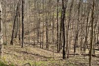 Undeveloped Land for sale in Putnam County, West Virginia