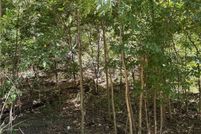 Land for sale in Camden County, Missouri