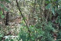 Waterfront Property for sale in Berkeley County, South Carolina