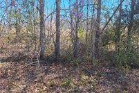 Land for sale in Orangeburg County, South Carolina