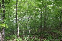 Land for sale in Morgan County, Missouri