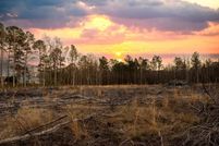 Undeveloped Land for sale in Horry County, South Carolina