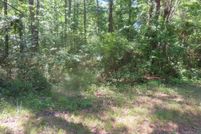 Land for sale in Clarendon County, South Carolina