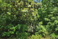 Land for sale in Sumter County, South Carolina