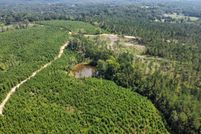 Undeveloped Land for sale in Lawrence County, Mississippi