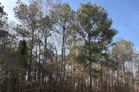 Land for sale in Clarendon County, South Carolina