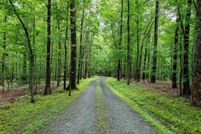 Land for sale in Albemarle County, Virginia