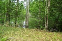 Land for sale in Clarendon County, South Carolina