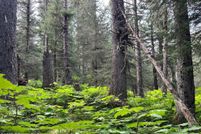 Undeveloped Land for sale in Kenai Peninsula Borough, Alaska