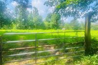 Land for sale in Sumter County, Alabama