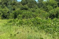 Homesite for sale in Tuscaloosa County, Alabama