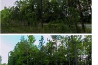 Land for sale in Tuscaloosa County, Alabama