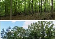 Land for sale in Tuscaloosa County, Alabama