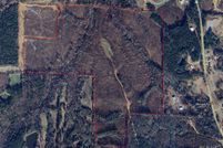 Undeveloped Land for sale in Tuscaloosa County, Alabama