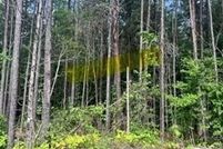 Land for sale in Tuscaloosa County, Alabama