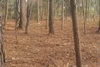 Land for sale in Pickens County, Alabama
