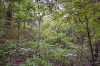 Land for sale in Van Zandt County, Texas