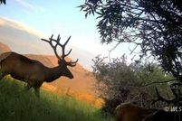 Land for sale in Custer County, Colorado