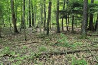 Undeveloped Land for sale in Erie County, Pennsylvania
