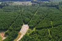 Land for sale in Tallapoosa County, Alabama