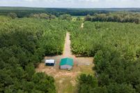 Land for sale in San Augustine County, Texas