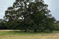 Undeveloped Land for sale in Hopkins County, Texas