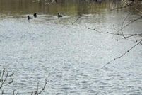 Land for sale in Burnet County, Texas