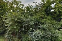 Undeveloped Land for sale in Suffolk City County, Virginia