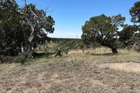 Land for sale in Catron County, New Mexico