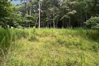 Land for sale in Fannin County, Georgia