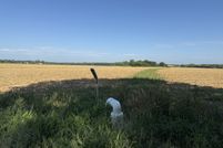 Undeveloped Land for sale in Richland Parish, Louisiana