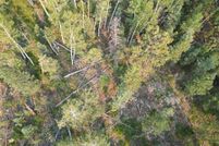 Land for sale in La Plata County, Colorado