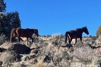 Land for sale in Storey County, Nevada