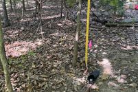 Undeveloped Land for sale in Baxter County, Arkansas