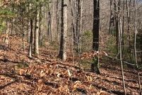 Hunting Property for sale in Jackson County, North Carolina