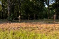 Homesite for sale in Saline County, Arkansas